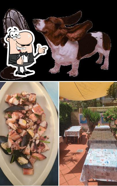 Frida e il cibo di strada