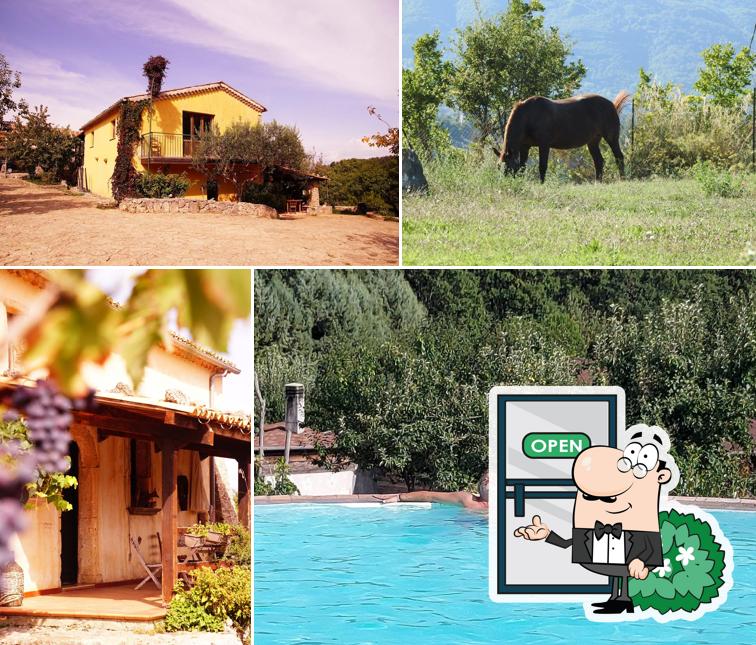Agriturismo Piano di Pero