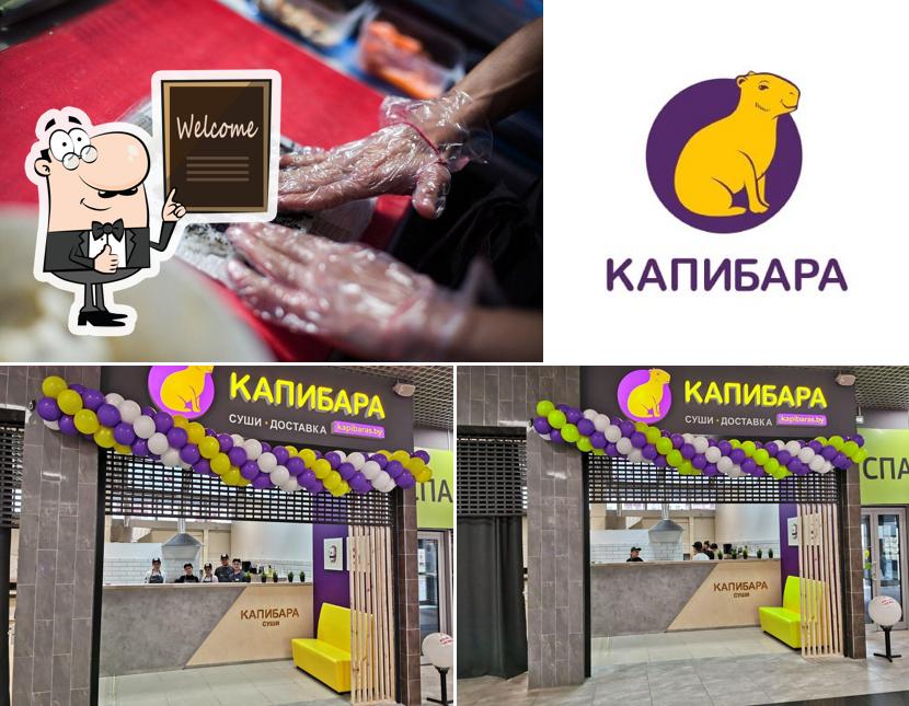Капибара
