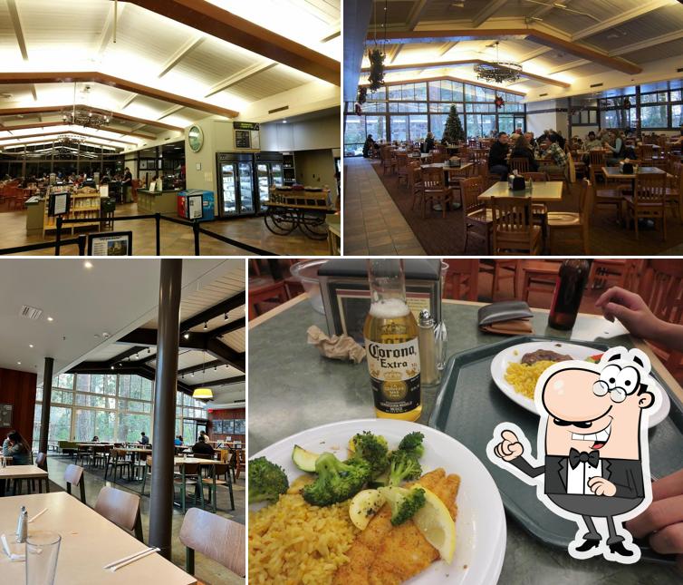 Yosemite Lodge Food Court