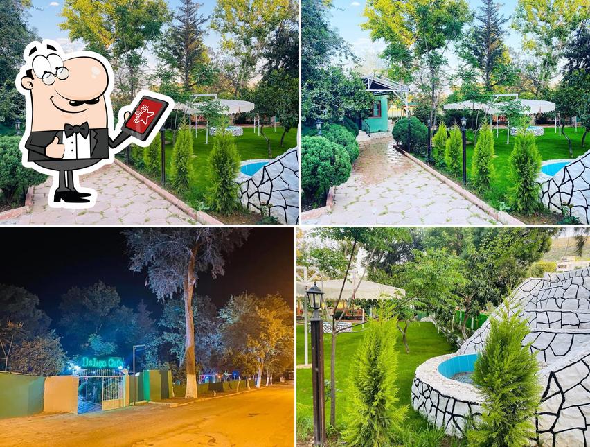 Çınar Altı Restoran