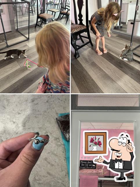 Craig’s Cat Cafe
