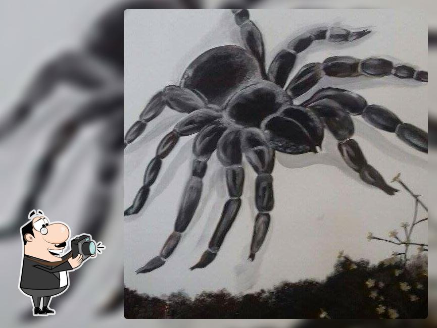 Spiders Bar