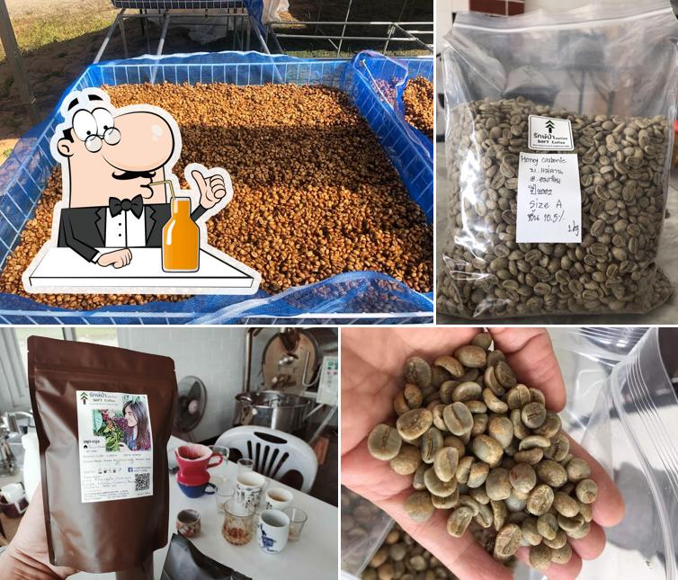 กาแฟรักษ์ป่าอมก๋อย SOFT Coffee