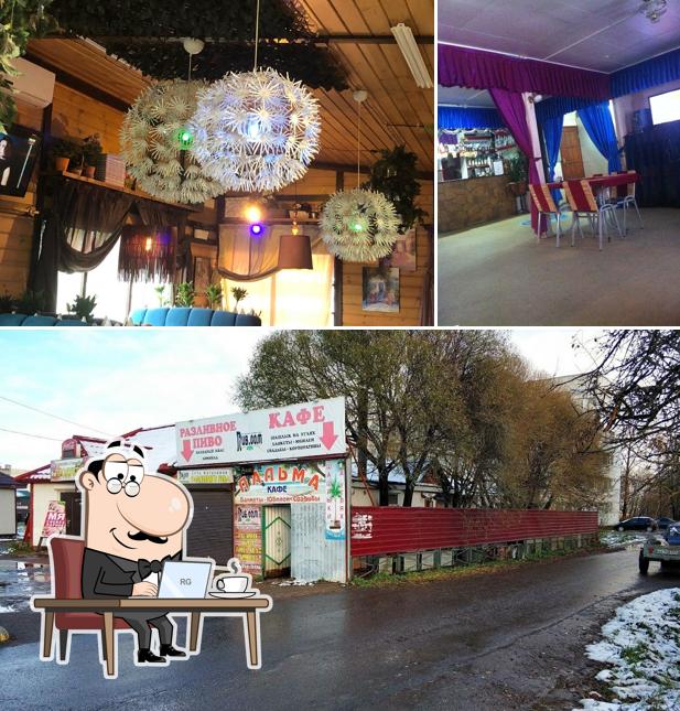 Пальма