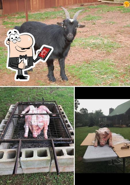 Willie's BBQ And Blues Shack