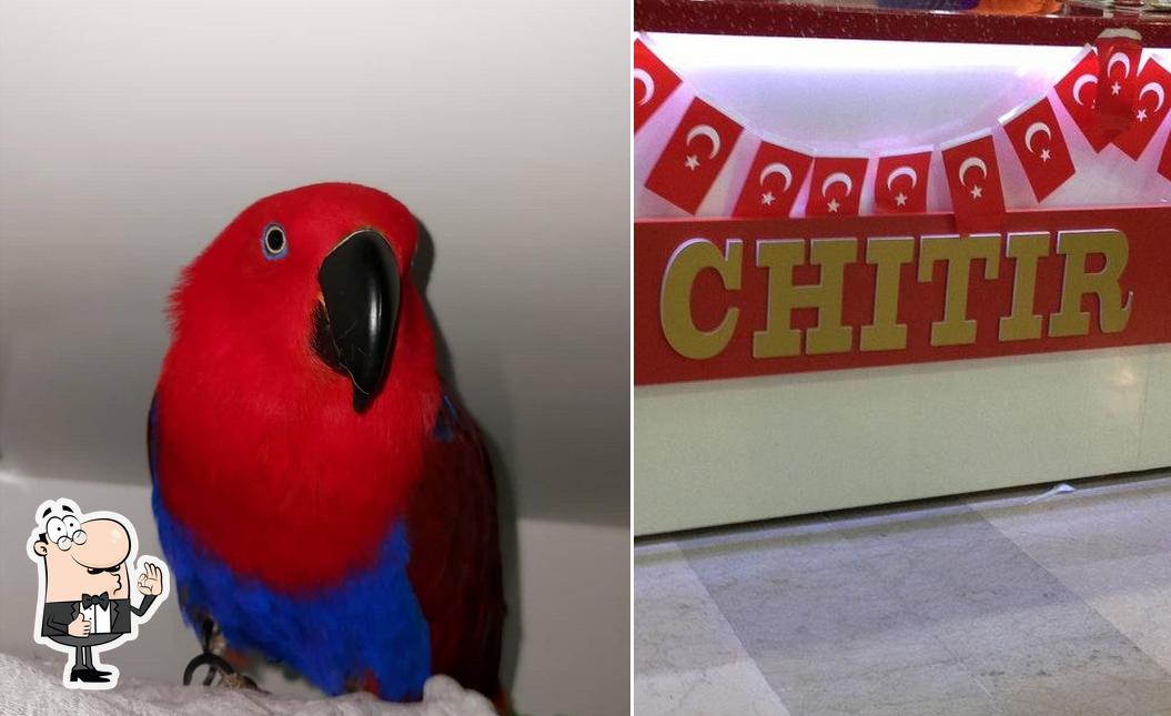Chitir Chicken