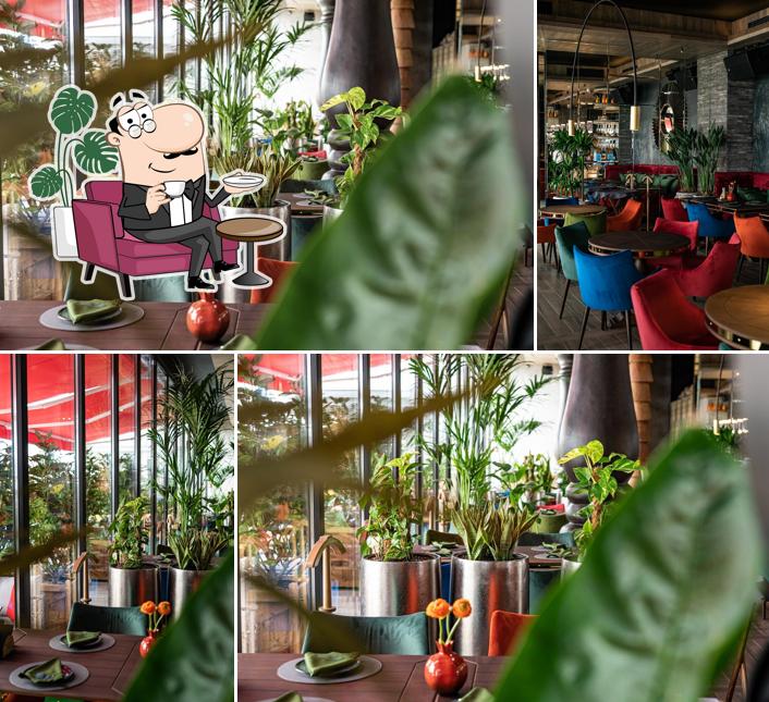 Посмотрите на внутренний интерьер "Утомлённые Солнцем"