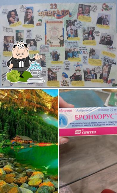 Сибилла