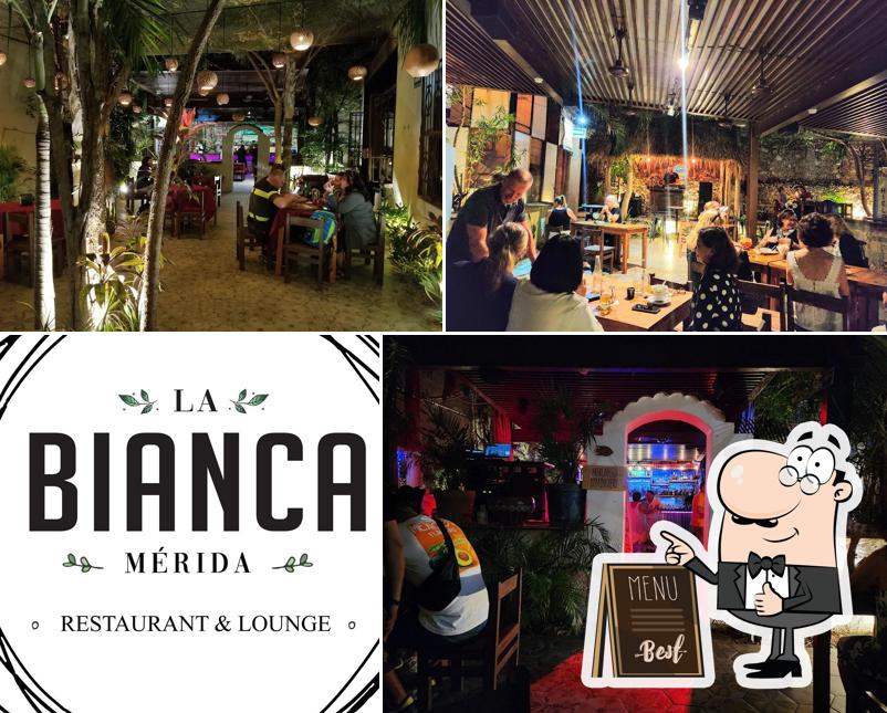 LA BIANCA TROPICAL