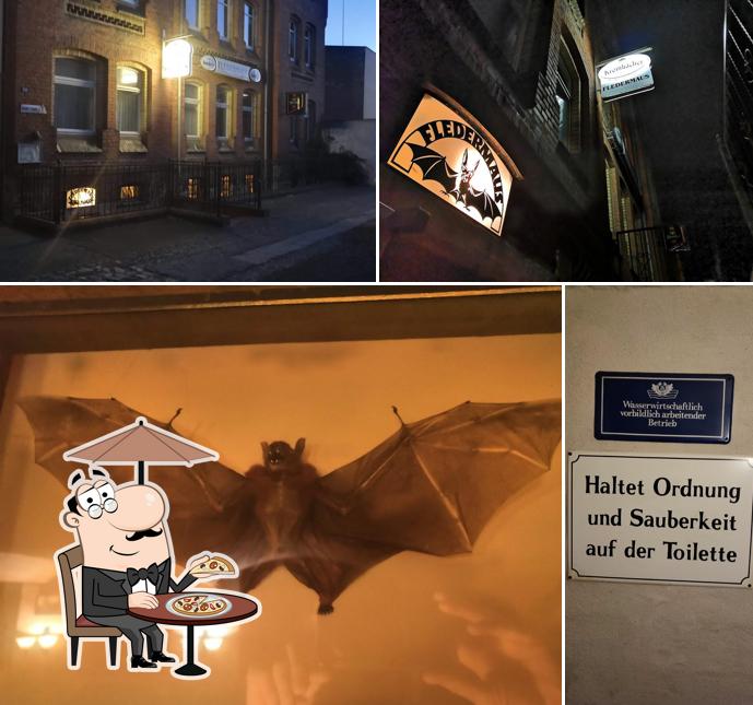 Fledermaus