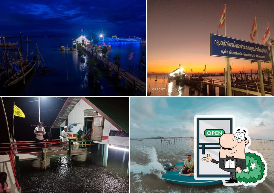 Coastal Conservation and sea farms