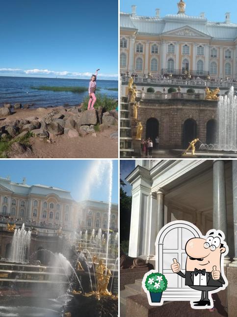 Невские берега