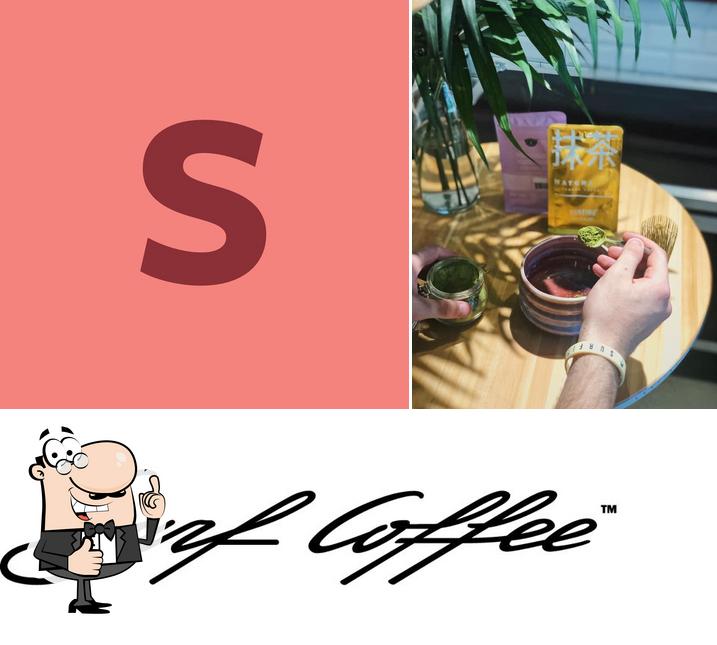 Surf Coffee X Volga