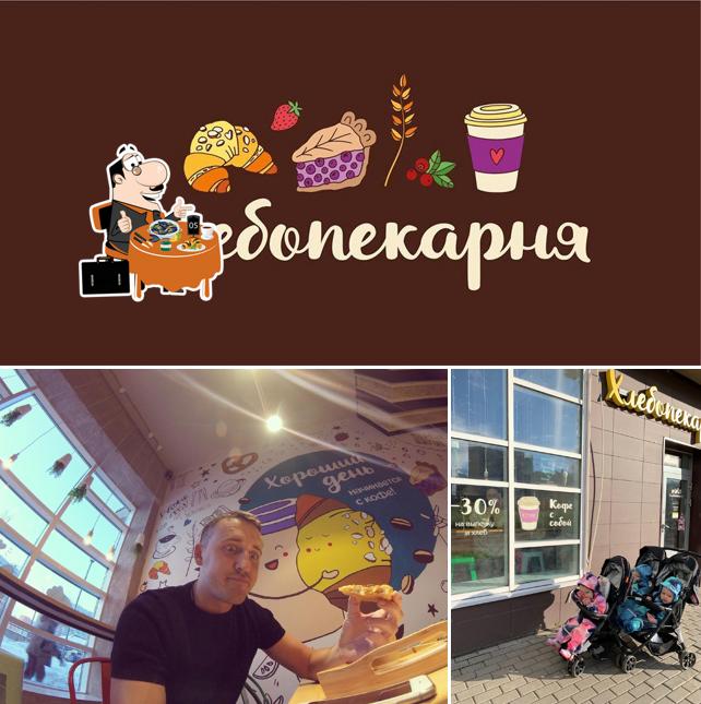 Сова Ко