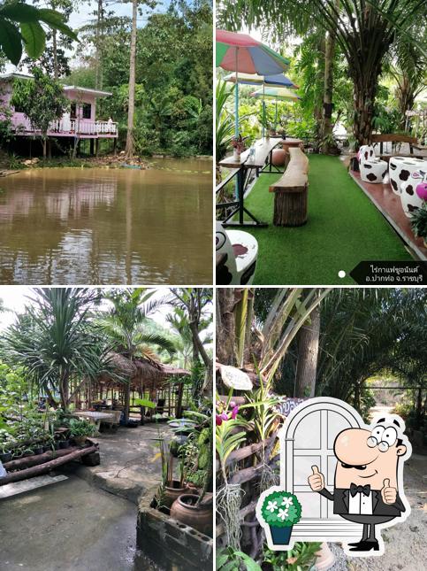 ไร่กาแฟชูอนันต์ อำเภอปากท่อ จังหวัดราชบุรี
