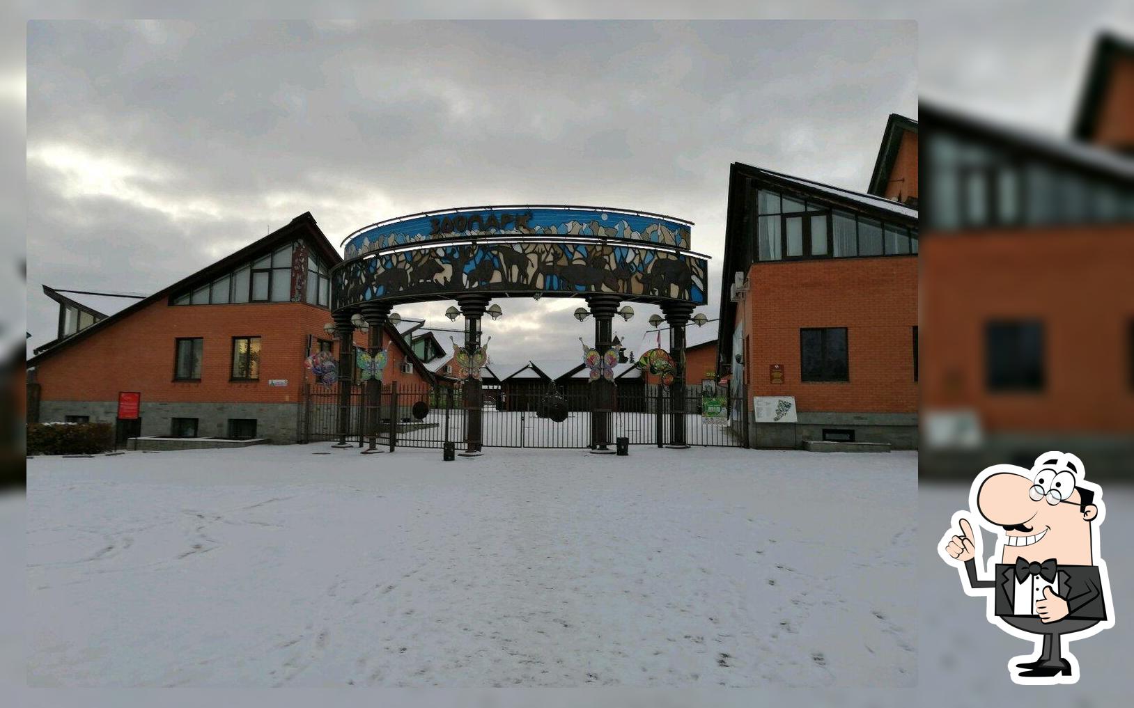Сафари
