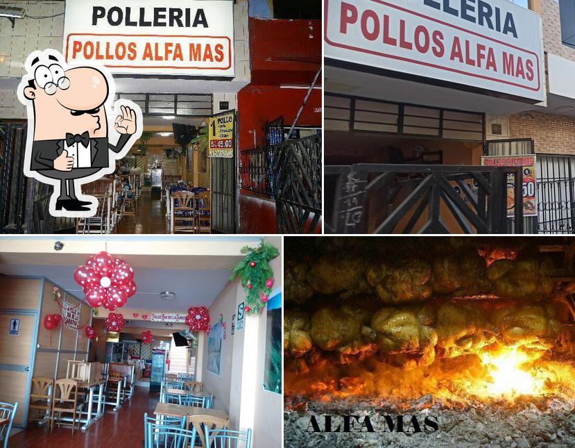 POLLOS ALFA MAS
