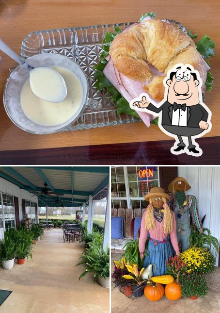 Hidden Gardens Nursery & Tea House