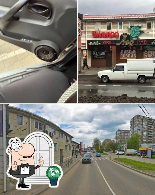 Черепаха