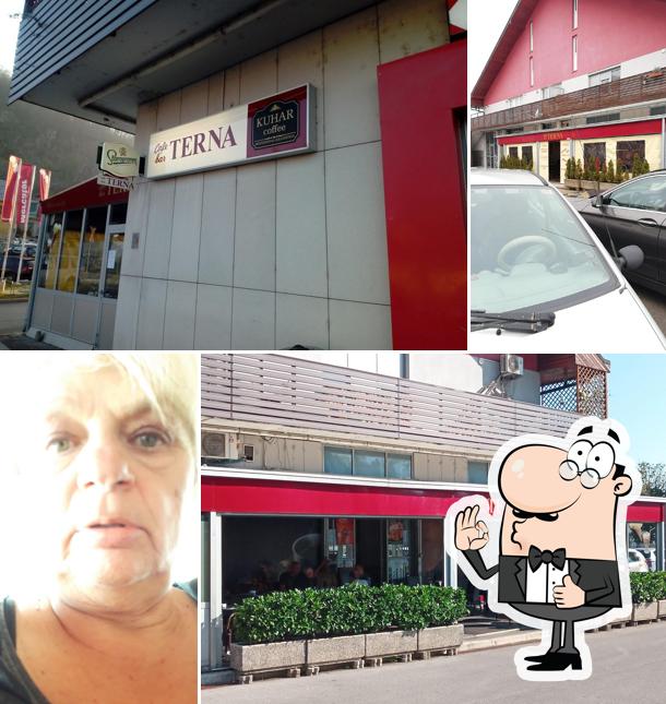 Terna