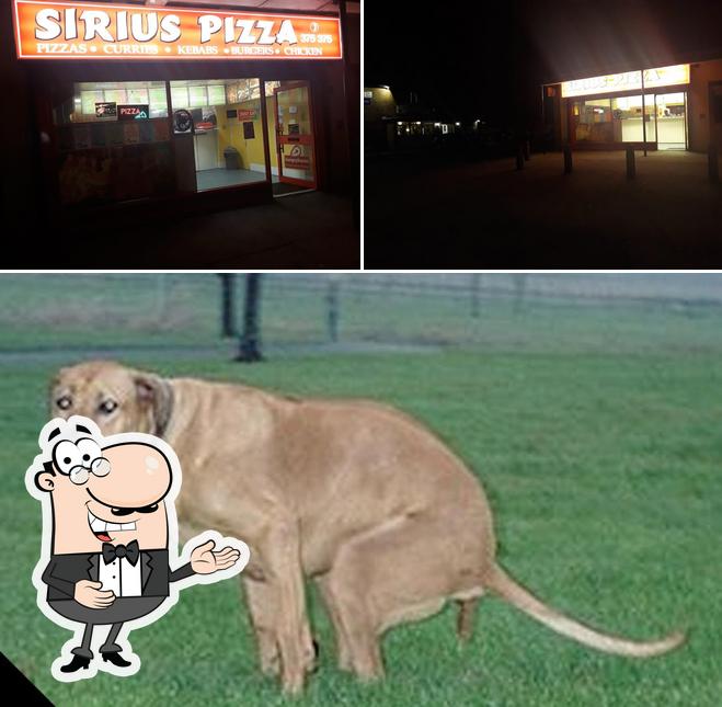 Sirius Square Pizza
