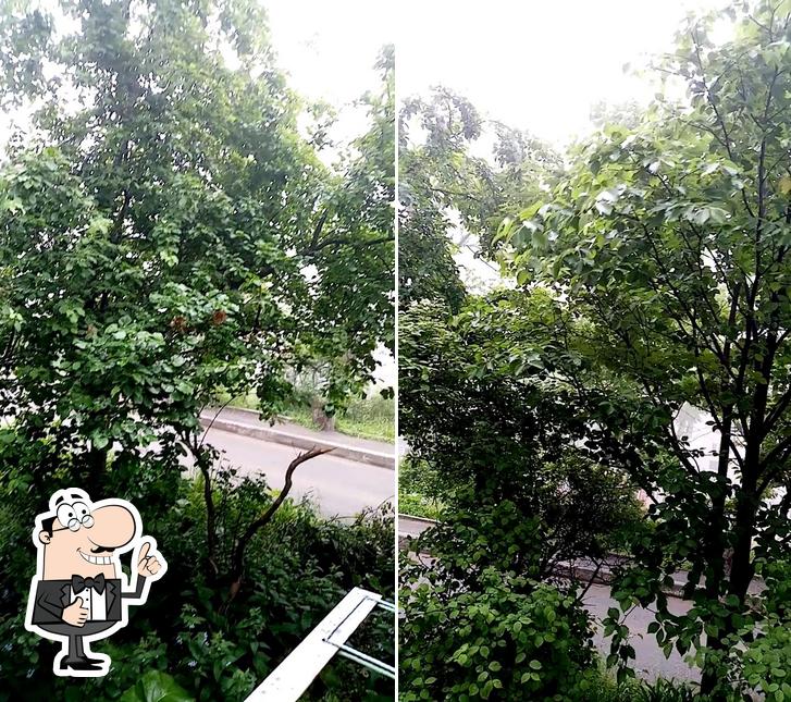Бункер ООО