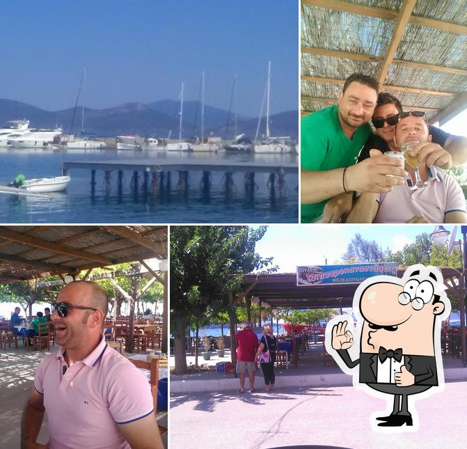 Τσιπουροκαταστάσεις