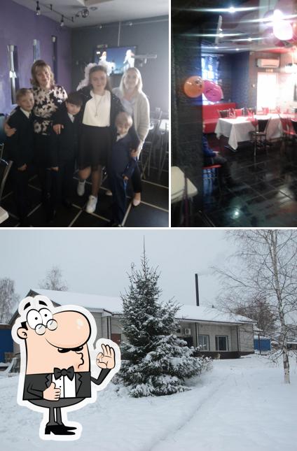 Чайка