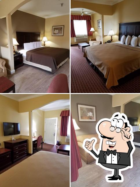 Econo Lodge Inn & Suites Bryant