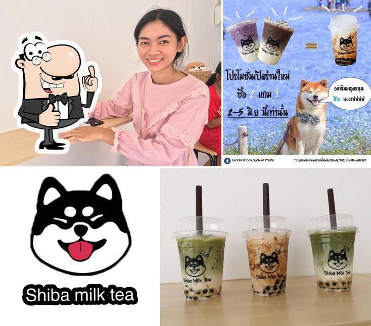 Shiba Milk Tea