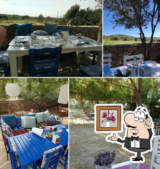 Noni's House