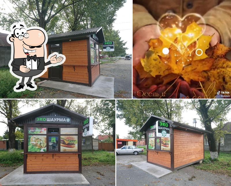 Моменты