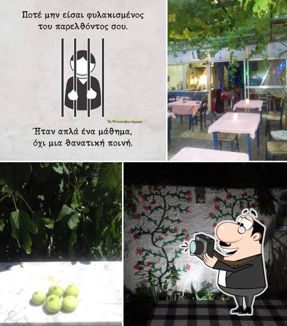 Η κληματαριά της Άννας