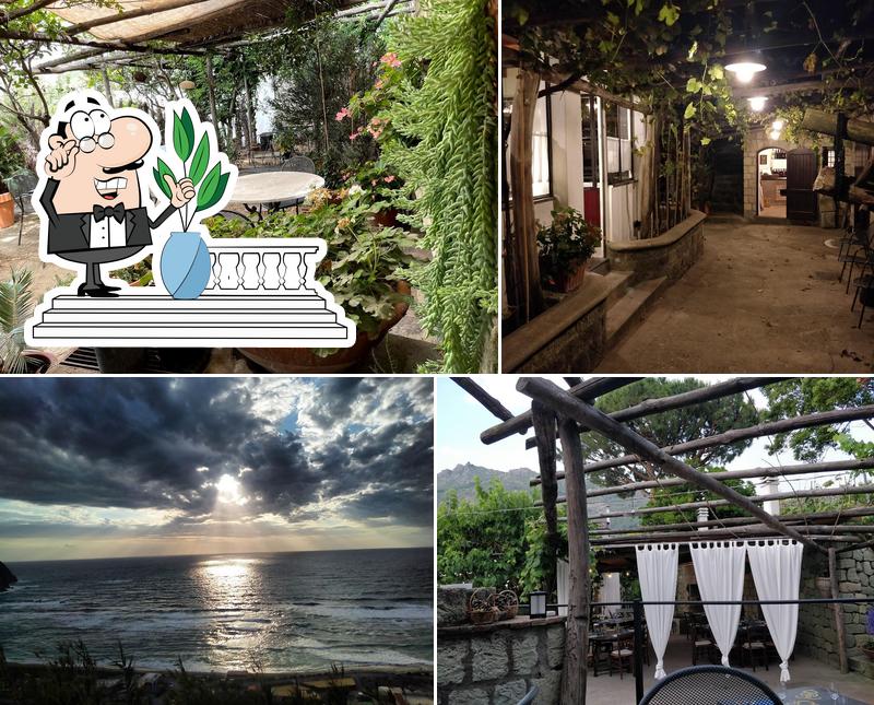 Ristorante Cantine Pietratorcia