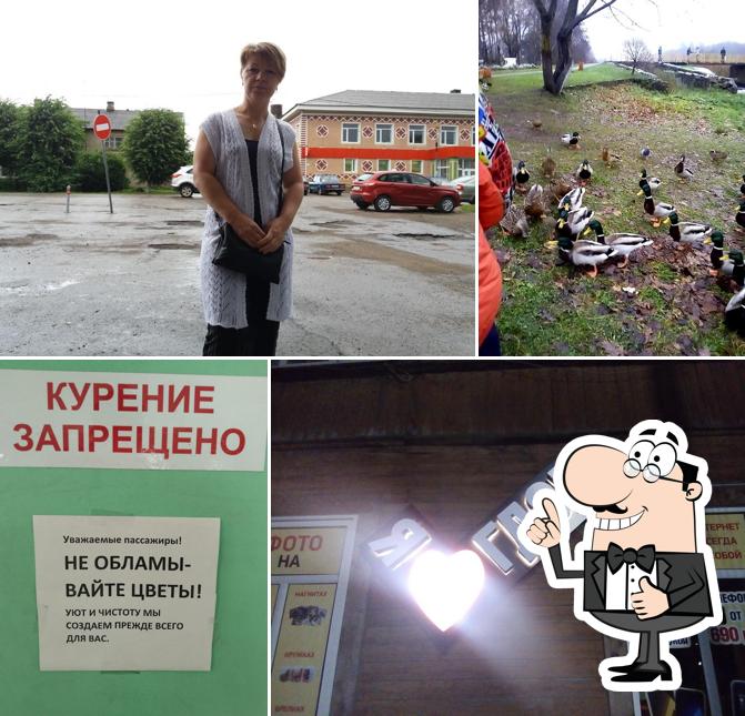 Гдов Буфет Авто