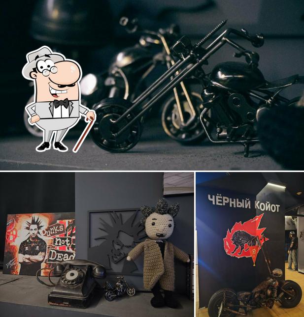 Внешнее оформление "Чёрный Койот"