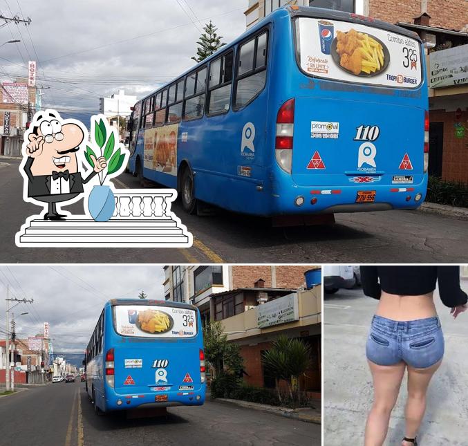 el kfcito