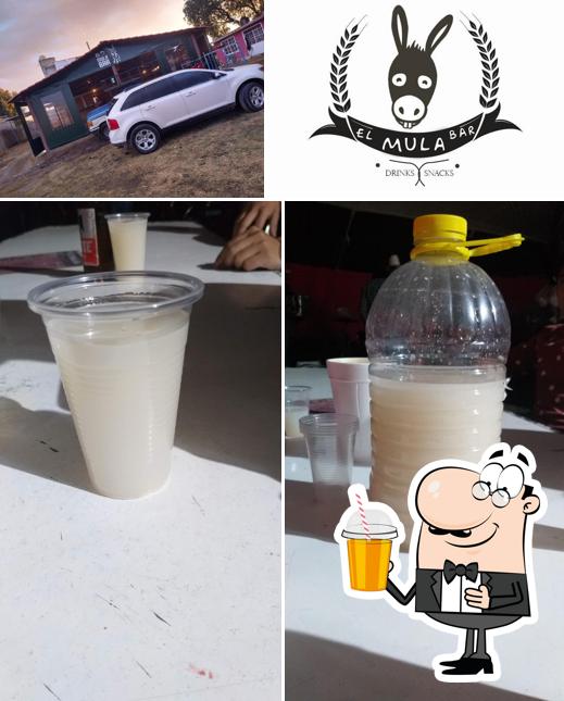 El Mula Bar