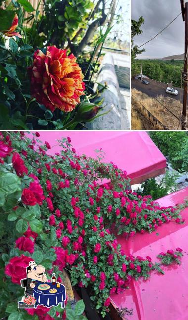 باغچه رستوران پارسه