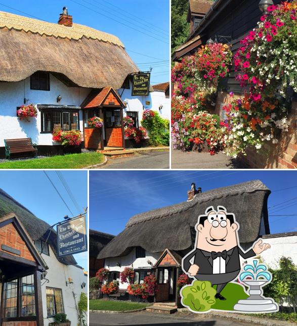 The Old Thatched Inn