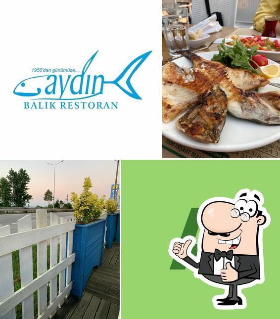 Aydin Balik