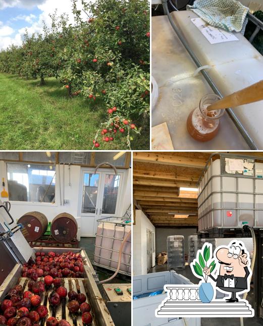 Rebel Root Ciderworks
