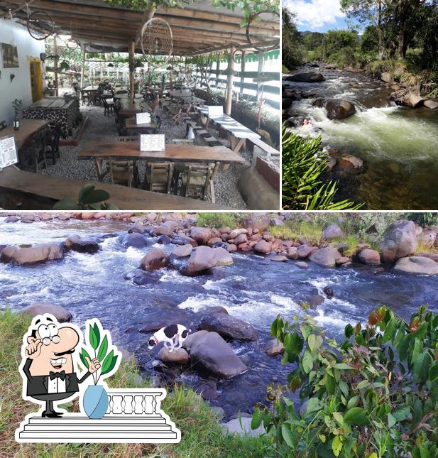 Restaurante Selva Alegre