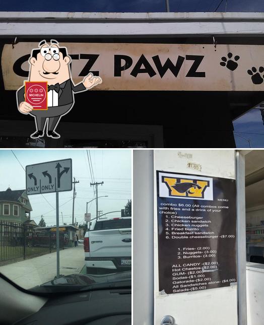 Catz Pawz