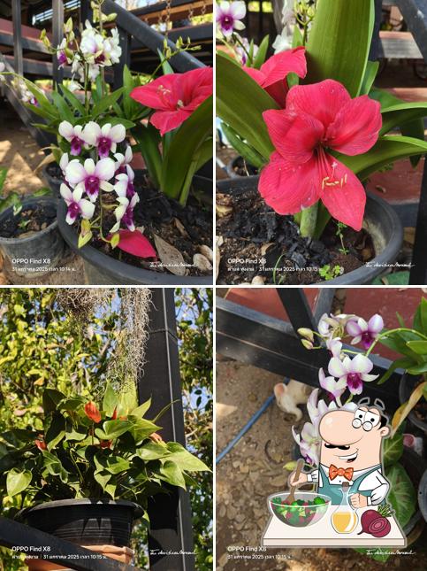 พริกลาบแม่นวลจัน