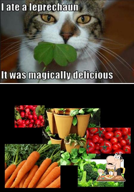 Grow Up Vertical Gardening