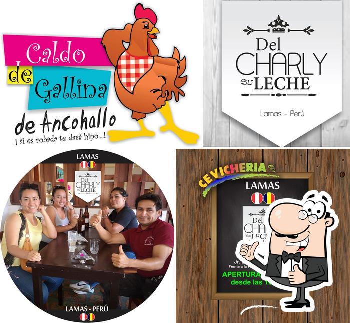 Del Charly su Leche - Lamas