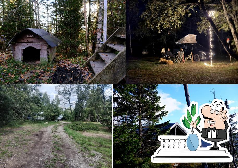 Anderswo Camp - Campingplatz Nationalpark Bayerischer Wald