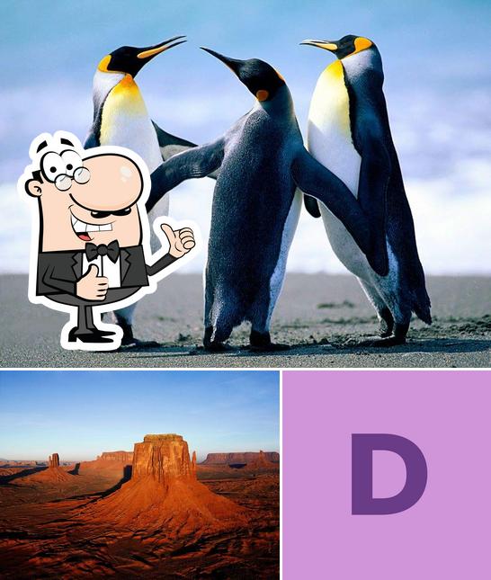 Digetal